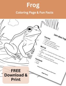 Amphib - Frog - Coloring Page Fun Facts Amphibian - Frog - Coloring Page Fun Facts