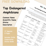 Top Endangered Amphibian Species Top Endangered Amphibian Species