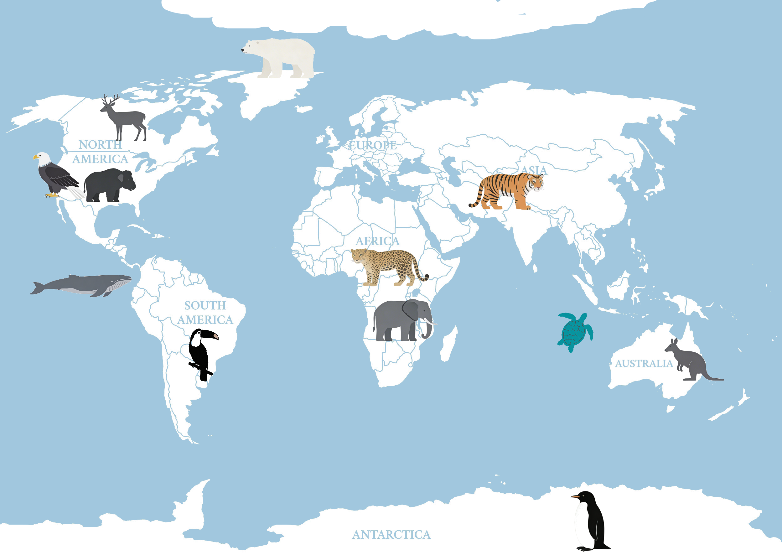 animals live in regions around the world