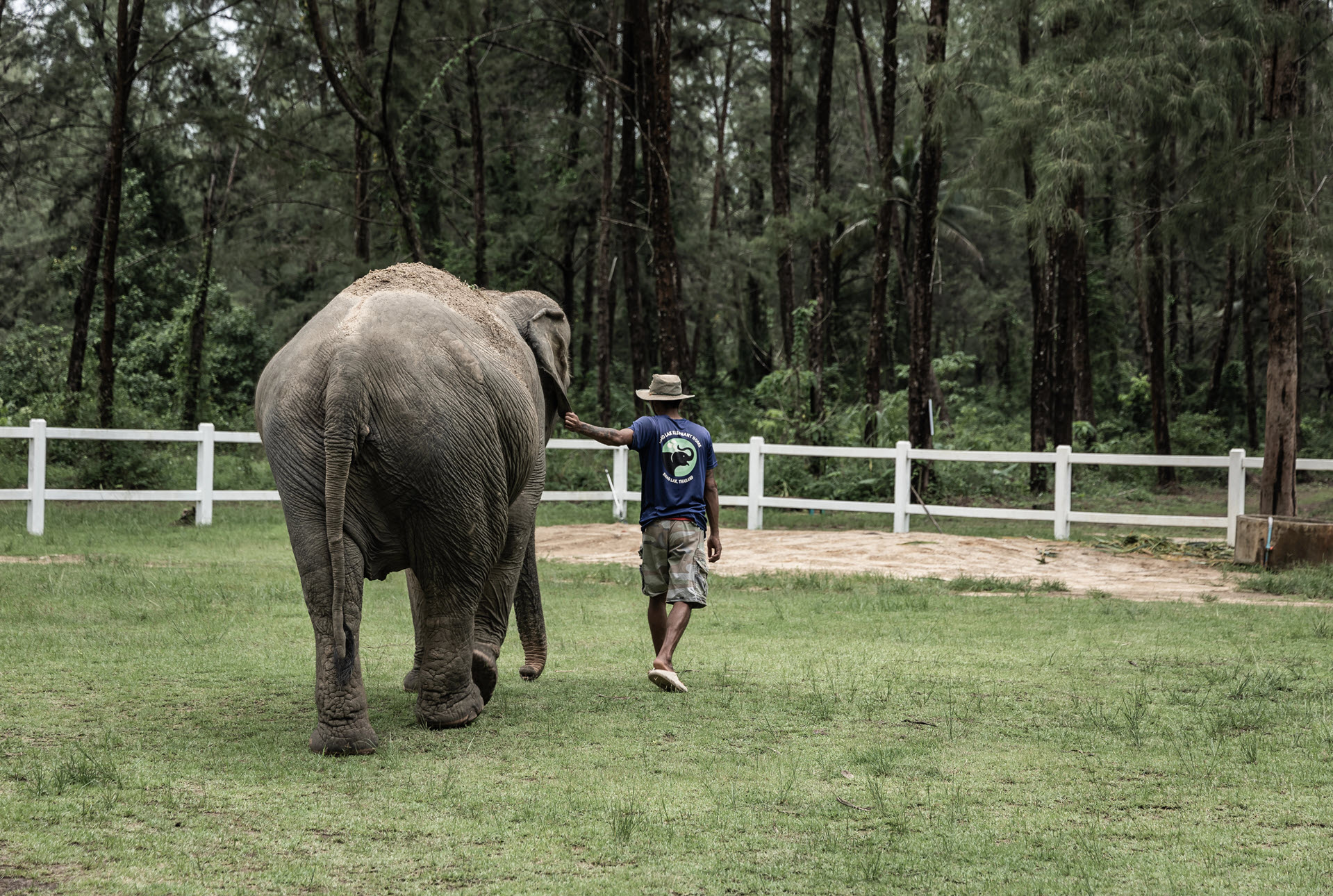 elephant conservation