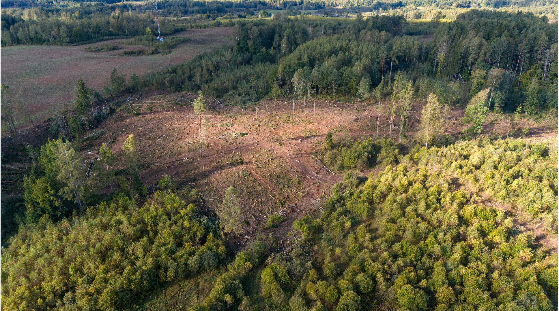 Endangered species habitat loss