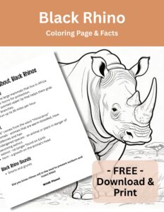 Endangered - Rhino - Coloring Page Facts Endangered - Rhino - Coloring Page Facts