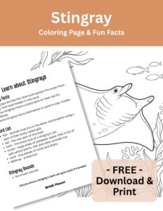 Fish - Stingray - Coloring Page Fun Facts Fish - Stingray - Coloring Page Fun Facts