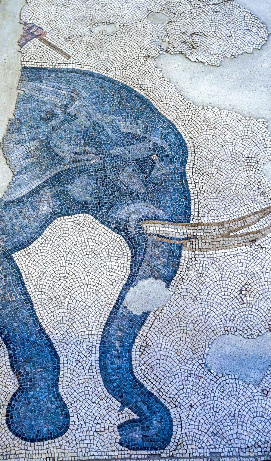 elephant mosaic temple