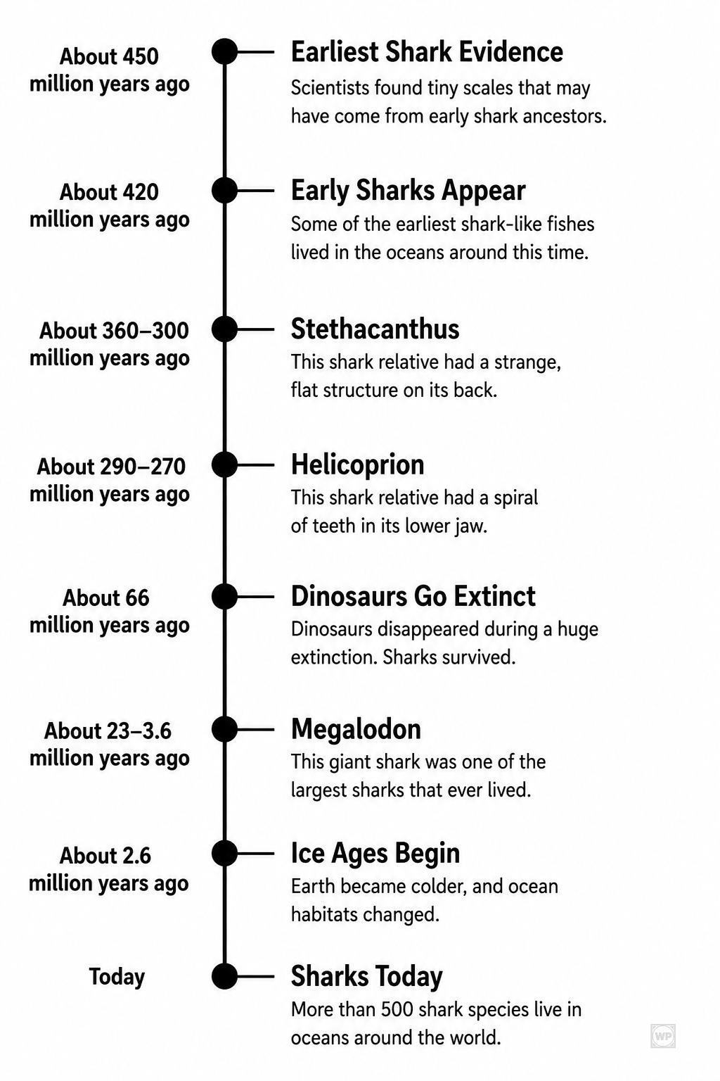 Ancient Shark - Timeline