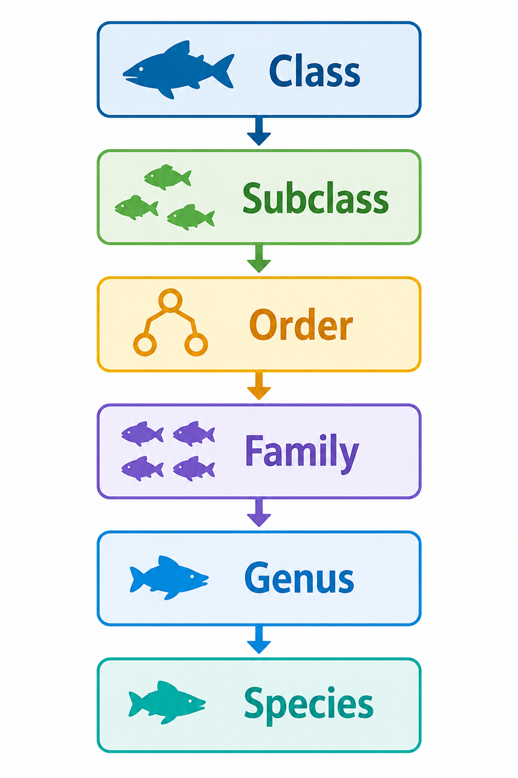 classification table