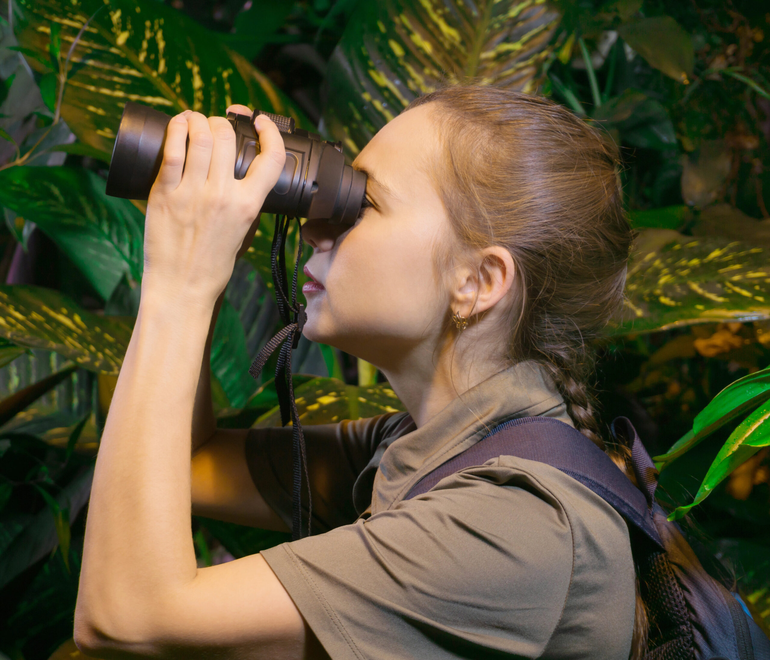 wild cat research