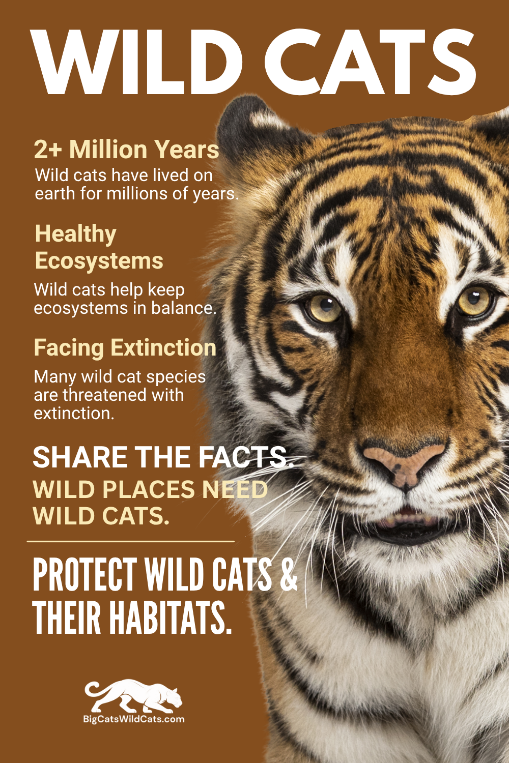 Wild Cats Wild Places Pinterest Share